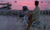 IMG_8037.jpg